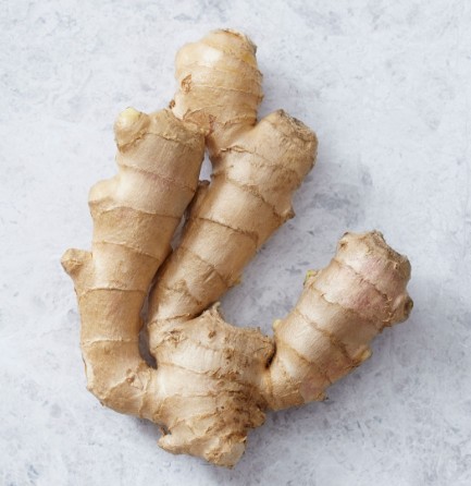 Concentrated Ginger Extract